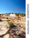 Colorful Sandstone formations of the White Domes near Hildale Utah USA                            