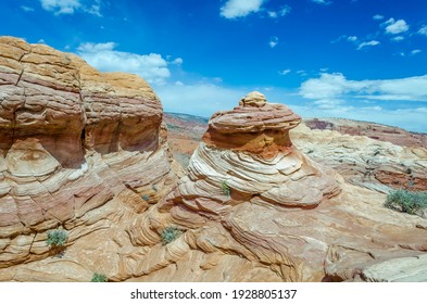 Colorful sandstone strata of The Wave Vermilion Cliffs National Monument Grand Staircase near Coyote Buttes North, Paria, BLM, Kanab, Utah, USA