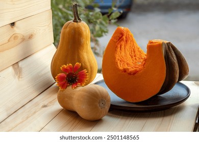 Colorful set of pumpkins and an autumn flower. Slice from very large butternut squash and two small pear-shaped pumpkins. Autumn, harvest, vitamins, healthy food. - Powered by Shutterstock