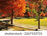colorful sightseeing farm natural scenery in autumn