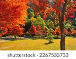 colorful sightseeing farm natural scenery in autumn