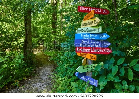 Colorful Signpost in Green Woodland, Eye-Level View