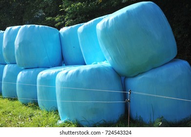 Colorful Silage Bale Wrap In Agricultural Pasture