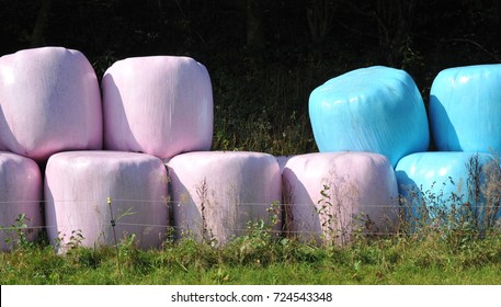 Colorful Silage Bale Wrap In Agricultural Pasture