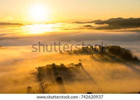 Colorful silhouette of sunrise , sea of mist cover the forest on mountain in morning time at thai land