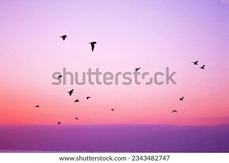 Colorful sky, photo of nature