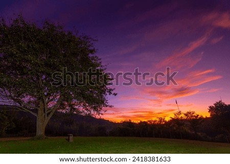 Colorful sky in sunset over mountain with big tree in foreground and copy space. in the north of Thailand. Dramatic sky. 