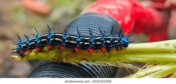 Colorful spiky caterpillar on green plant - Powered by Shutterstock