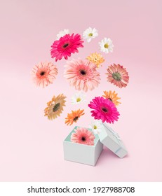 Colorful Spring Flowers Exploding From The Gift Box On A Pink Background.