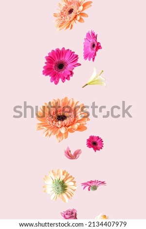 Colorful spring flowers floating in the air on a pink background. Aesthetic surreal flower layout.