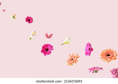 Colorful Spring Flowers Flying In The Air On A Pink Background. Aesthetic Surreal Flower Concept.