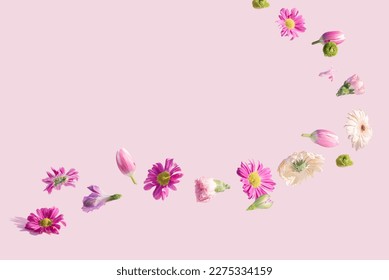 Colorful Spring flowers flying on a pink background. Summer aesthetic floral concept. - Shutterstock ID 2275334159