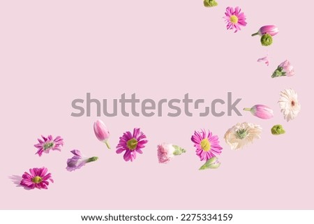 Colorful Spring flowers flying on a pink background. Summer aesthetic floral concept.