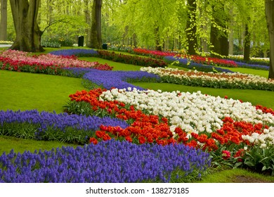 Colorful spring flowers  in holland garden Keukenhof, Netherlands