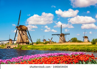 Colorful spring landscape in Netherlands, Europe. Famous windmills in Kinderdijk village with a tulips flowers flowerbed in Holland. Famous tourist attraction in Holland