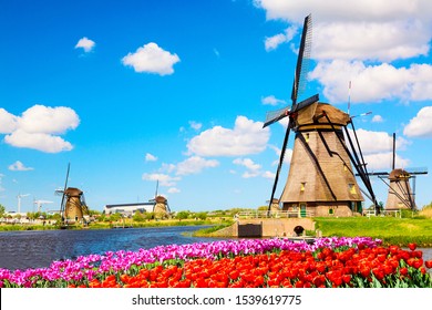 Colorful Spring Landscape In Netherlands, Europe. Famous Windmills In Kinderdijk Village With Tulips Flowers Flowerbed In Holland. Famous Tourist Attraction In Holland