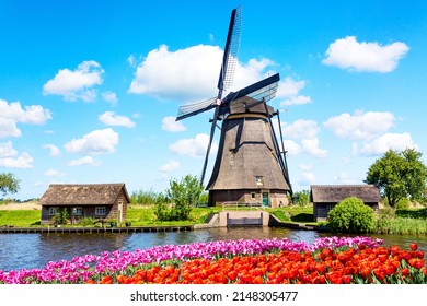 Colorful spring landscape in Netherlands, Europe. Famous windmill in Kinderdijk village with a tulips flowers flowerbed in Holland. Famous tourist attraction in Holland.
