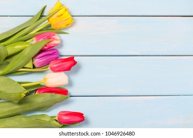 Colorful Spring Tulip Flowers On Light Blue Wooden Background As Greeting Card With Free Space. Mothersday Or Spring Concept.