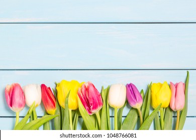 Colorful Spring Tulip Flowers On Light Blue Wooden Background As Greeting Card With Free Space. Mothersday Or Spring Concept.