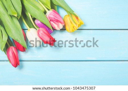 Colorful spring tulip flowers on light blue wooden background as greeting card with free space. Mothersday or spring concept.