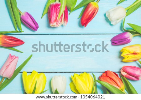 Colorful spring tulip flowers on light blue wooden background as greeting card with free space. Mothersday or spring concept.
