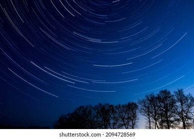 Colorful startrails with trees at night