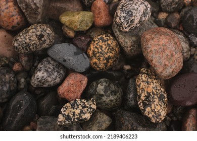 Colorful Stones In Lake Nahuel Huapi