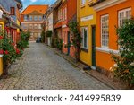 Colorful street in Danish town Faaborg.