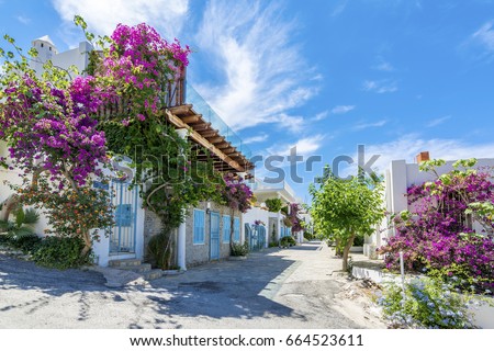 Colorful street view in Bodrum Town in Turkey