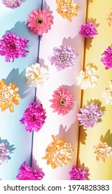 Colorful Summer Concept Of Outdoor Party Wall Full Of Fresh Flowers On Pastel Background. Fun Flat Lay.