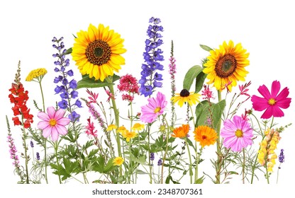 Colorful summer flowers with  transparent background	