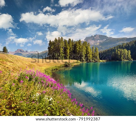 Similar – Foto Bild Österreich Umwelt Natur