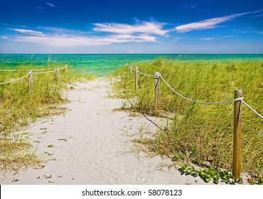 Colorful Summer Scene, Pathway To The Beach In Miami Florida With Ocean And Blue Sky Background