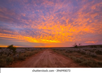 Colorful sunset in Australian remote plain rural land