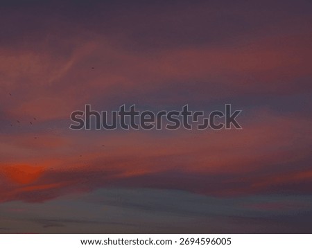 colorful sunset clouds in summer time
