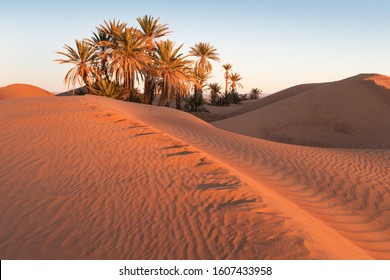 Colorful Sunset In The Desert Above The Oasis With Palm Trees And Sand Dunes.