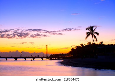 Colorful sunset in Key West Florida with palm trees silhouettes