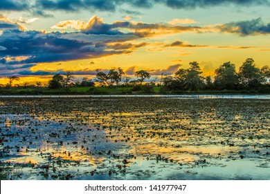 Colorful Sunset In Pantanal, Brazil