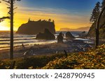 Colorful sunset at Ruby Beach with piles of deadwood and sea stacks in Olympic National Park, Washington state, USA