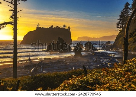 Colorful sunset at Ruby Beach with piles of deadwood and sea stacks in Olympic National Park, Washington state, USA