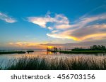 A colorful sunset of yellow, orange and blues in the Louisiana swamps along the Mississippi River with clouds in the blue sky and reeds in the foreground. 