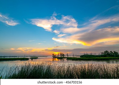 A colorful sunset of yellow, orange and blues in the Louisiana swamps along the Mississippi River with clouds in the blue sky and reeds in the foreground. 