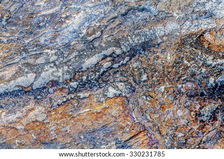 Colorful texture of sea stone texture