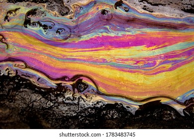 Get Iridescent Oil Spill Color Palette Images