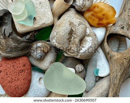 A colorful and textured collection of sea treasures, including shells, sea glass, pebbles, driftwood, and natural stones found on the beach