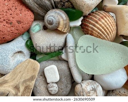 A colorful and textured collection of sea treasures, including shells, sea glass, pebbles, driftwood, and natural stones found on the beach