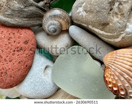A colorful and textured collection of sea treasures, including shells, sea glass, pebbles, driftwood, and natural stones found on the beach