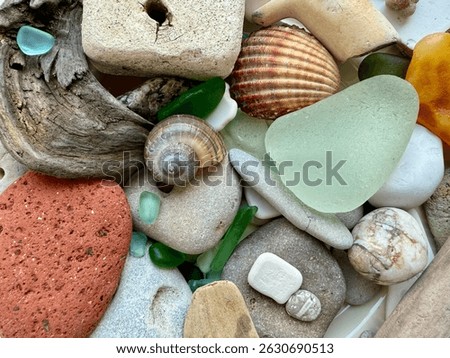 A colorful and textured collection of sea treasures, including shells, sea glass, pebbles, driftwood, and natural stones found on the beach