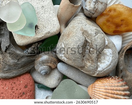 A colorful and textured collection of sea treasures, including shells, sea glass, pebbles, driftwood, and natural stones found on the beach