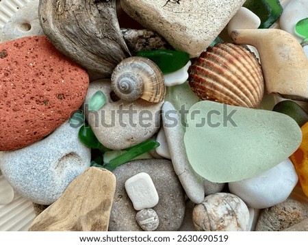 A colorful and textured collection of sea treasures, including shells, sea glass, pebbles, driftwood, and natural stones found on the beach